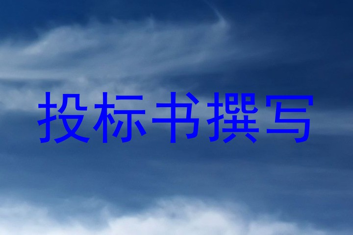 投标书撰写