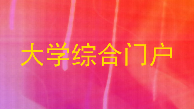 大学综合门户