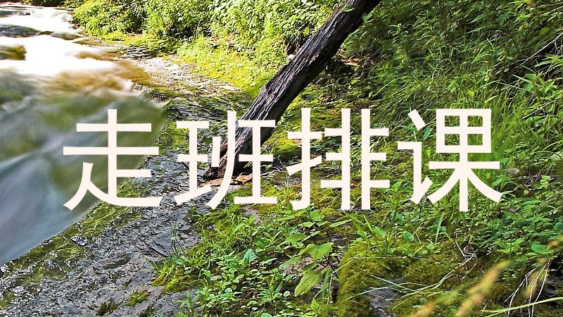 走班排课