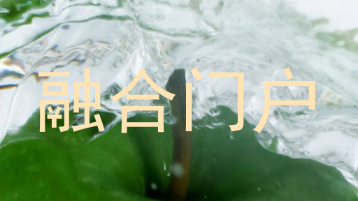 融合门户