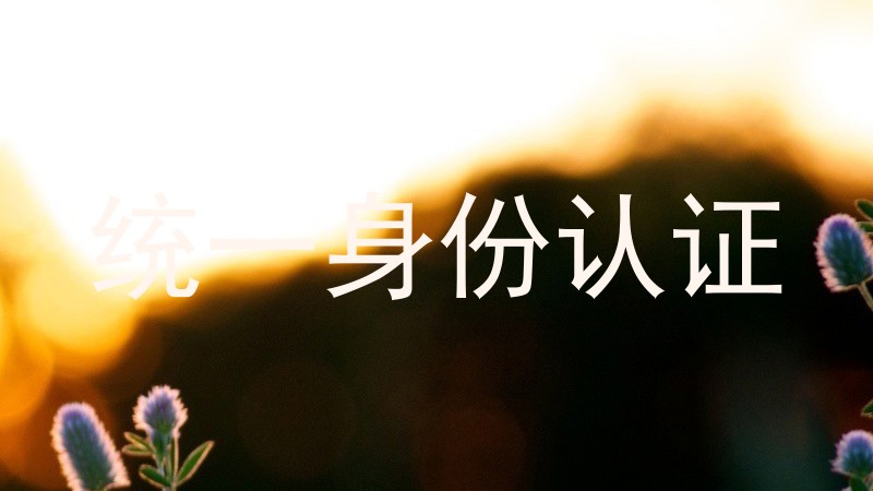 统一身份认证