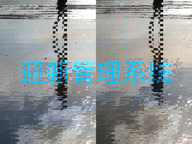 迎新管理系统