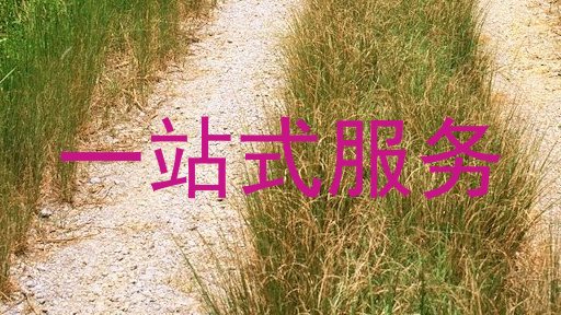 一站式服务
