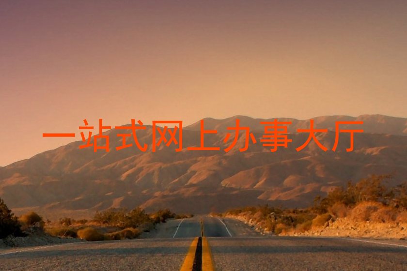 一站式网上办事大厅
