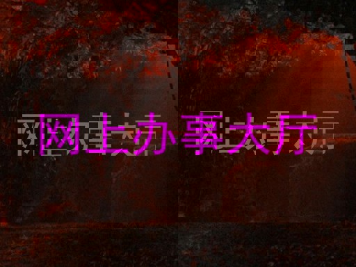 网上办事大厅