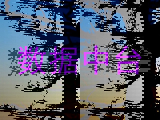 数据中台