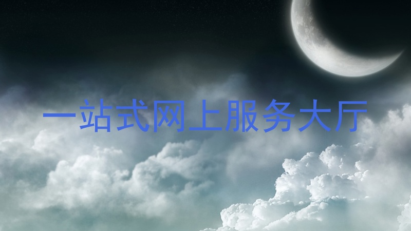 一站式网上服务大厅