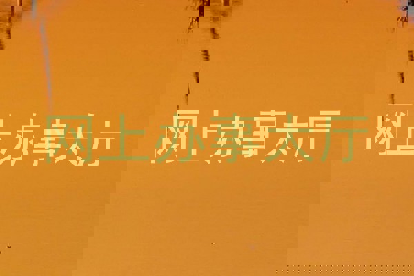 网上办事大厅