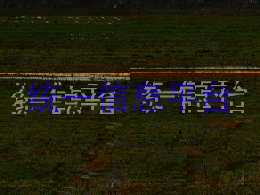 统一信息平台