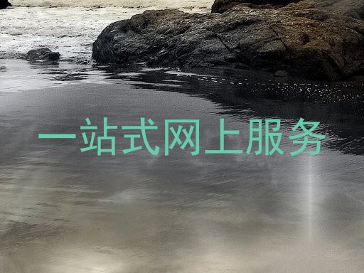 一站式网上服务