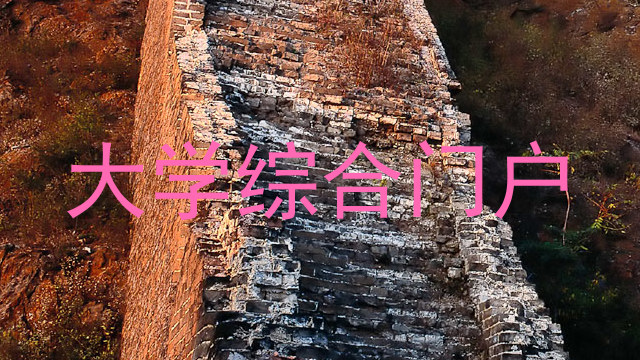 大学综合门户
