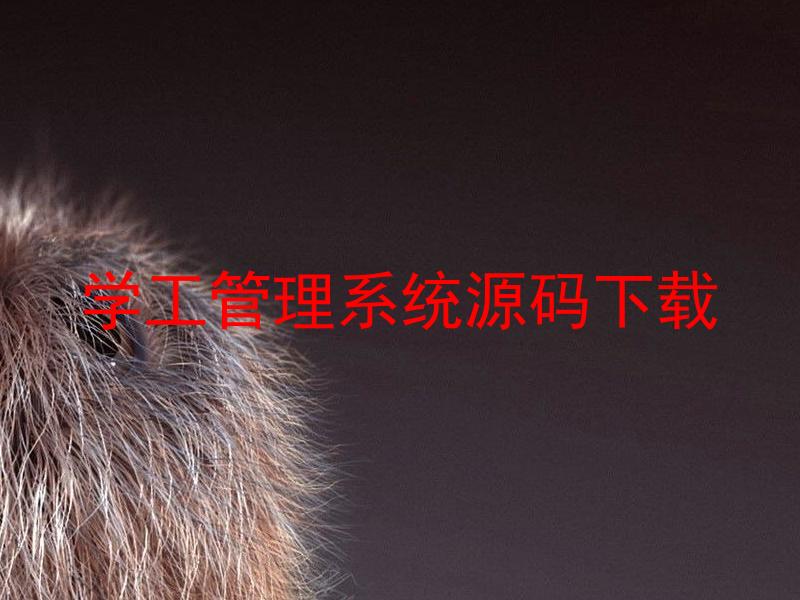 学工管理系统源码下载