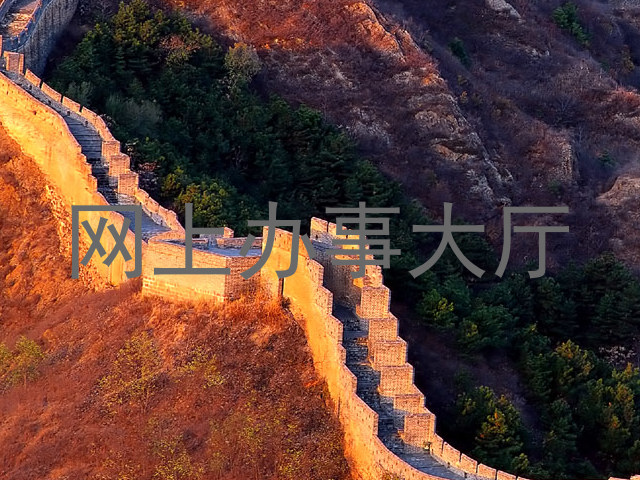 网上办事大厅