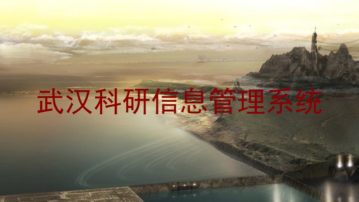 武汉科研信息管理系统