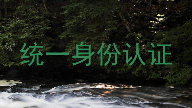 统一身份认证