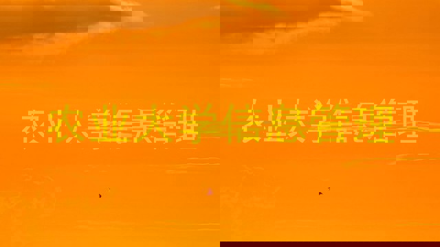 农业大学信息管理