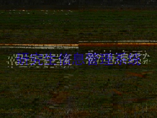 研究生信息管理系统