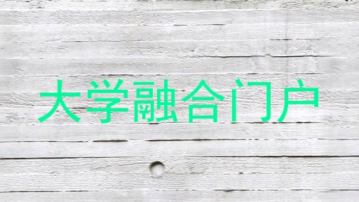 大学融合门户