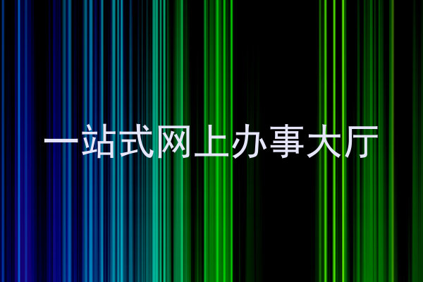 一站式网上办事大厅