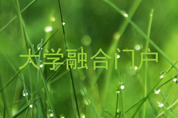 大学融合门户