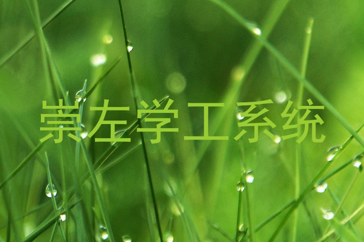 崇左学工系统