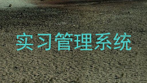 实习管理系统