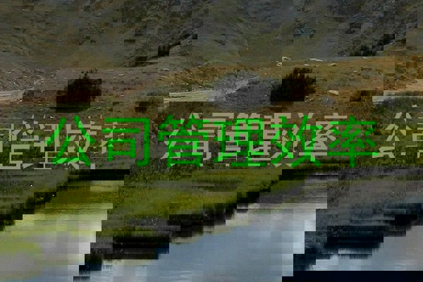 公司管理效率