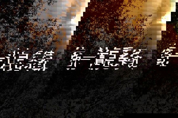 统一消息系统