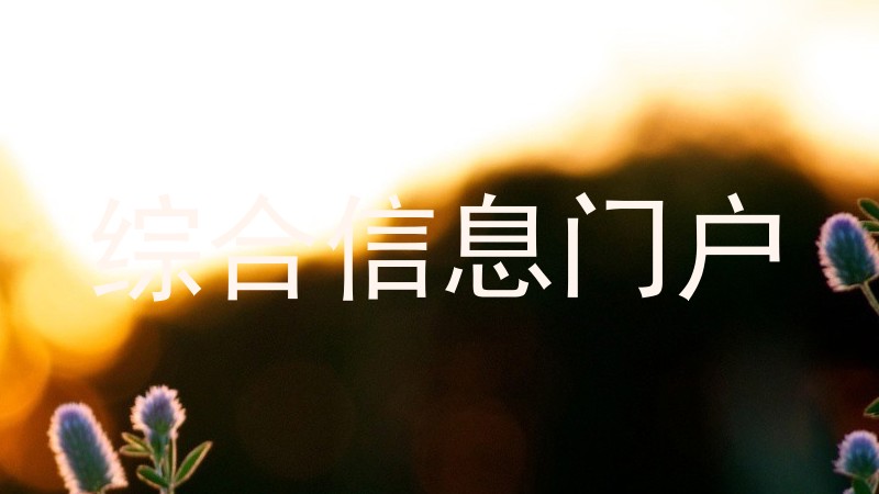 综合信息门户