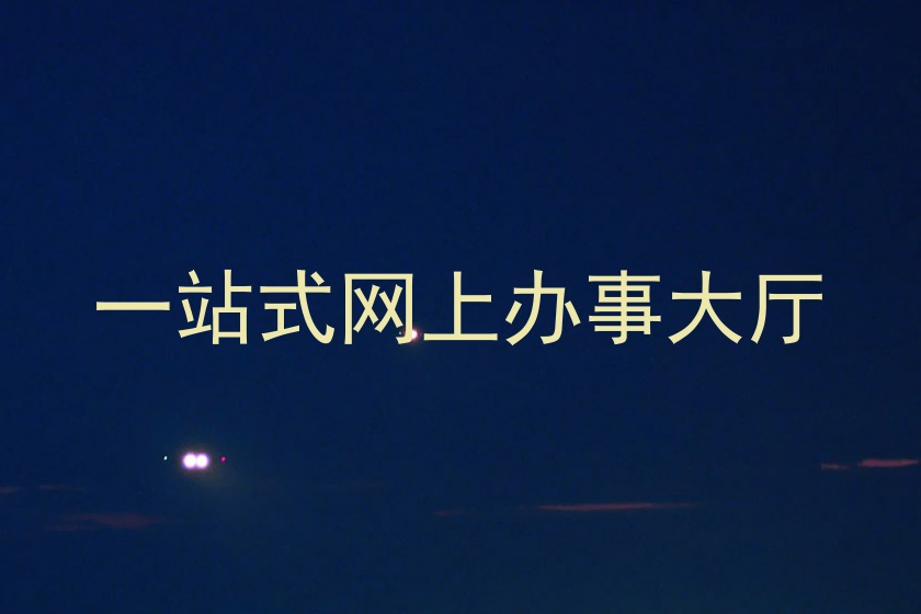 一站式网上办事大厅