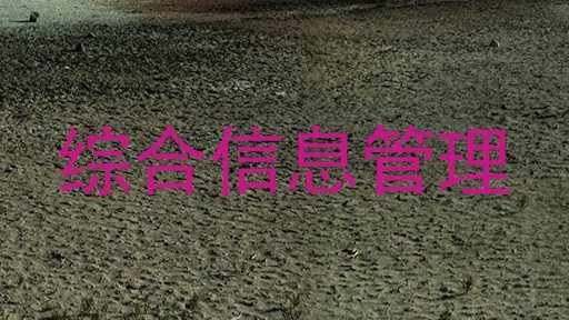 综合信息管理