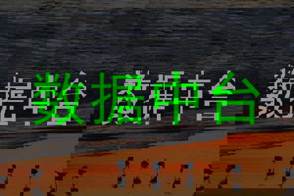 数据中台