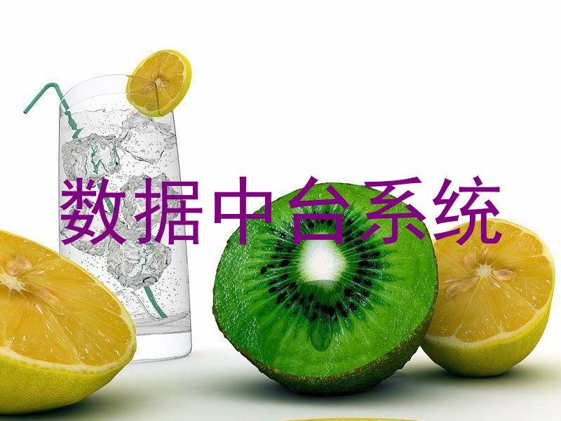 数据中台系统