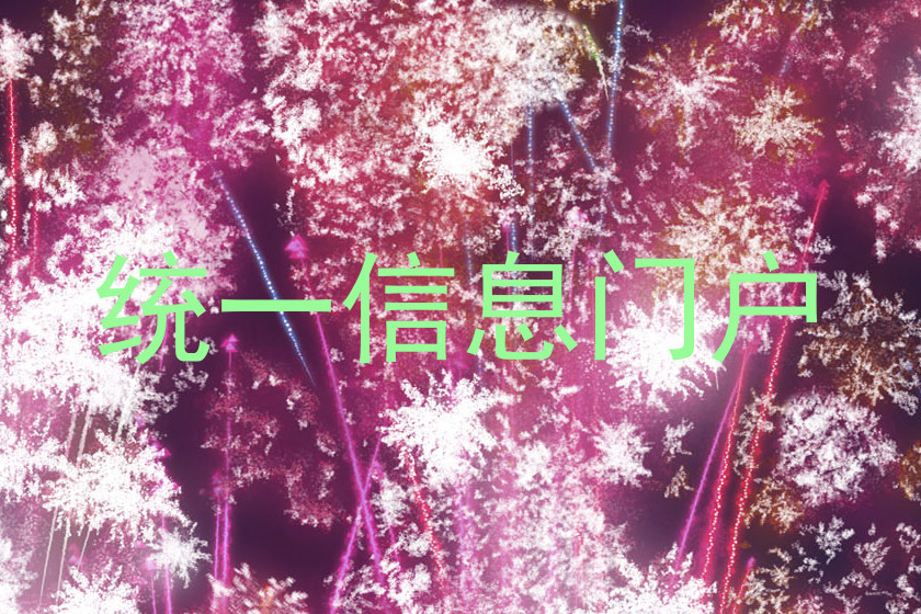 统一信息门户
