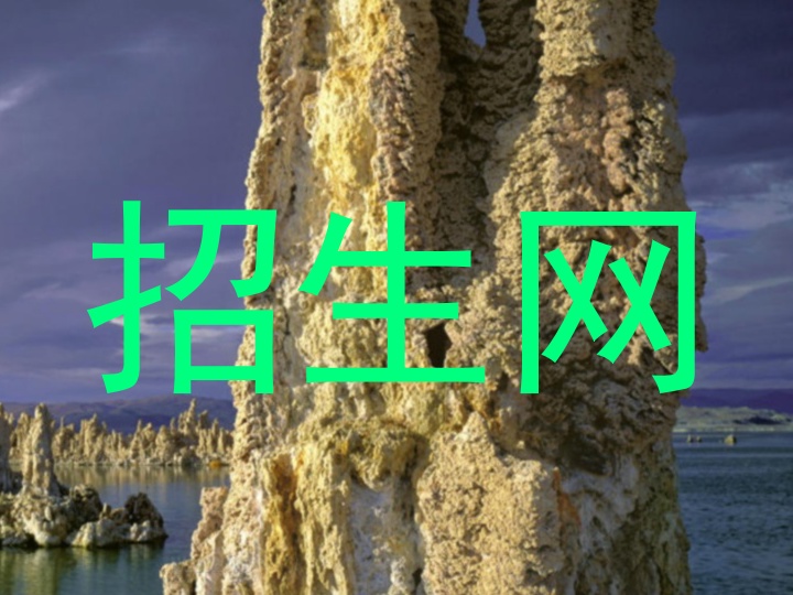 招生网