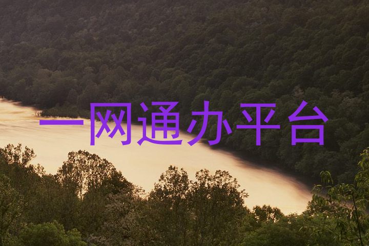 一网通办平台