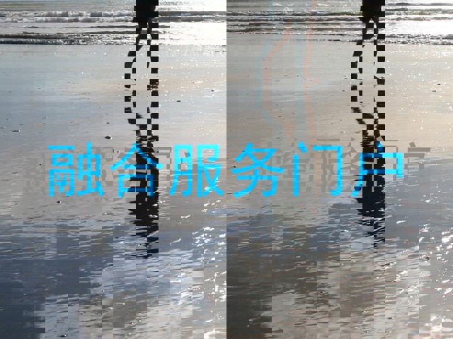 融合服务门户