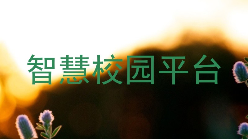 智慧校园平台