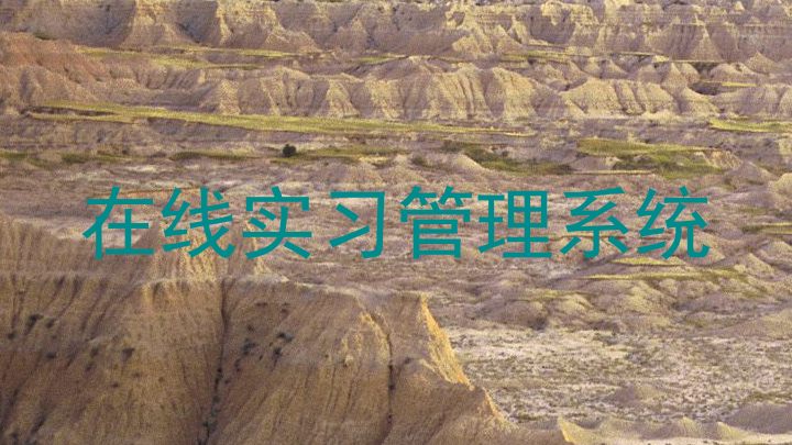 在线实习管理系统