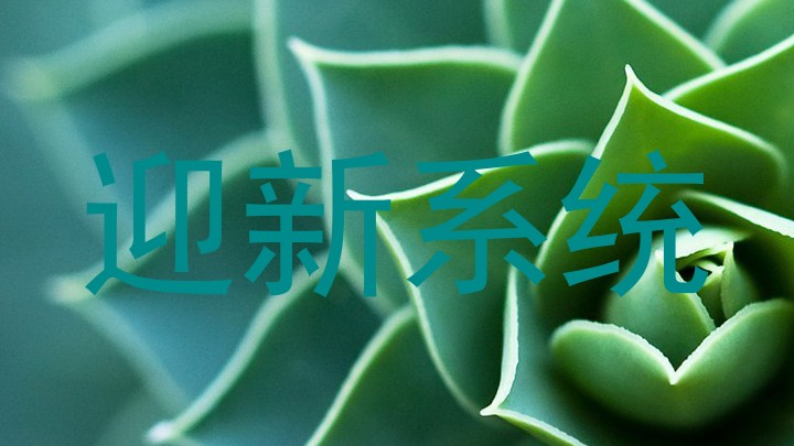 迎新系统