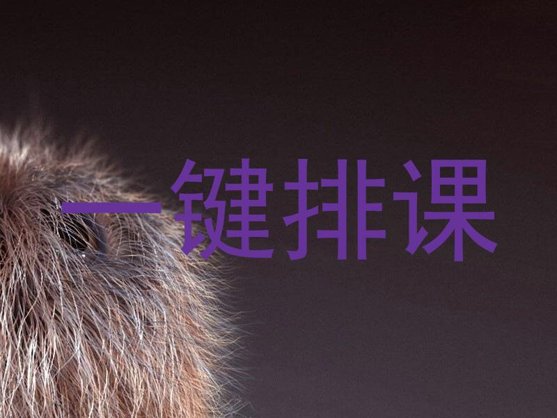 一键排课