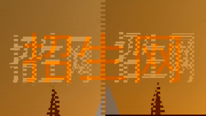 招生网