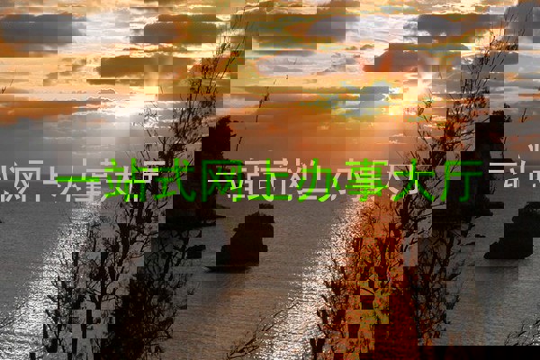 一站式网上办事大厅