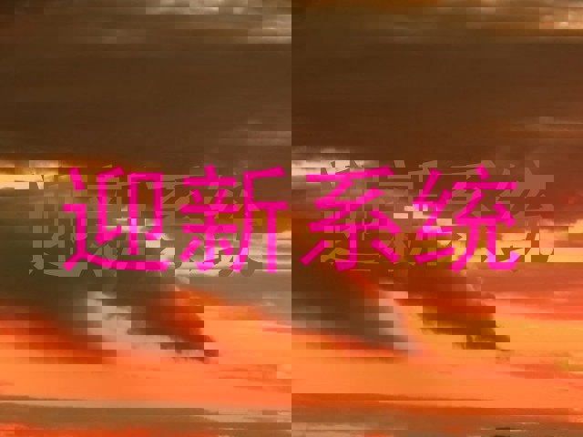 迎新系统