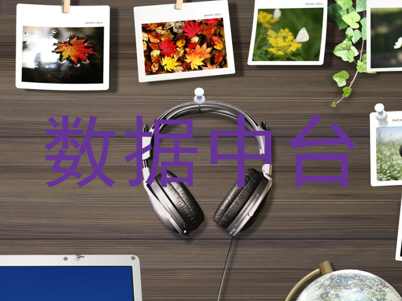 数据中台