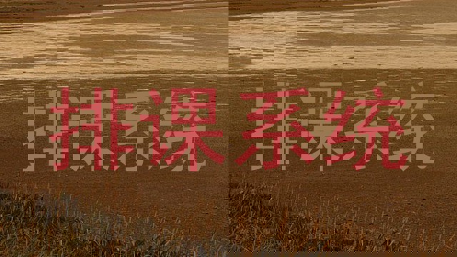 排课系统