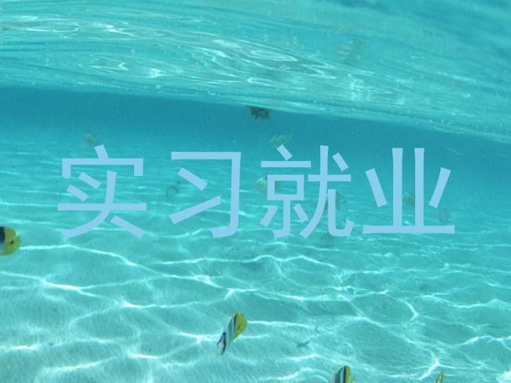 实习就业