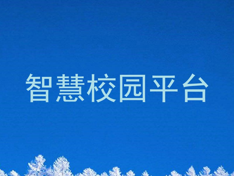 智慧校园平台