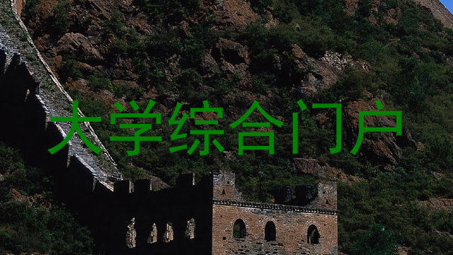 大学综合门户