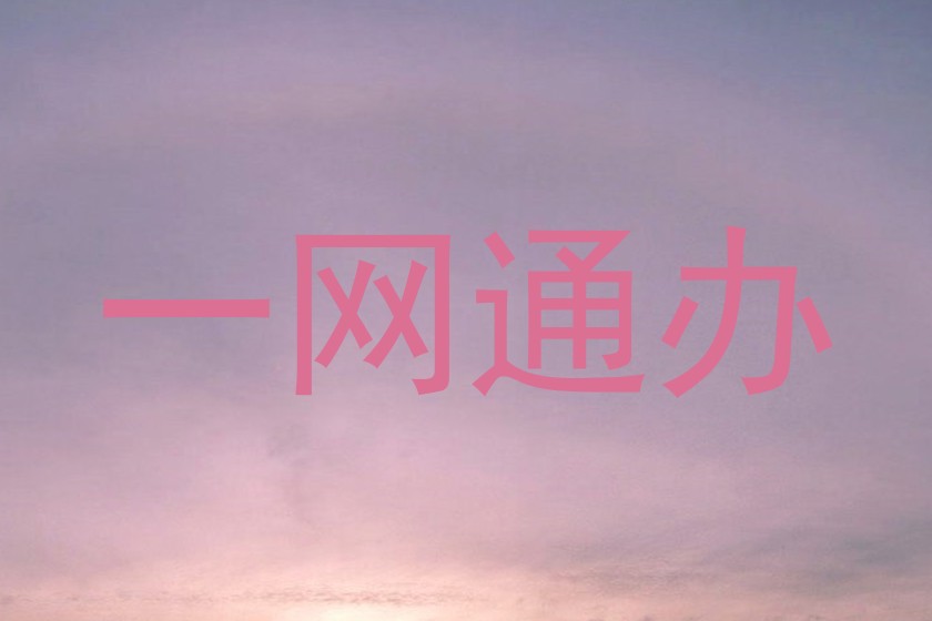 一网通办